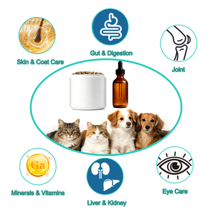 Suplemento Nutricional Multivitamínico 11 en 1 de Marca Privada, Golosina Masticable Suave para Perros, Suplemento Vitamínico para Mascotas - Product Image 2