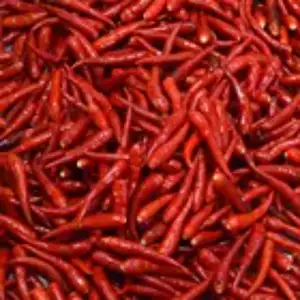 Kualitas tinggi Red Chilli grosir harga terjangkau untuk buatan India gaya kemasan makanan warna memasak cabai