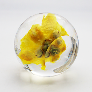 Bola redonda, planta botánica colorida, flor prensada seca, epoxi, flor prensada Real, flor de resina, bola de cristal, artesanías - Product Image 2