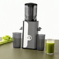 Extracteur de jus à froid silencieux 200W 600ML avec séparation jus et pulpe, directement de l'usine (OEM/ODM) pour les revendeurs d'appareils de cuisine