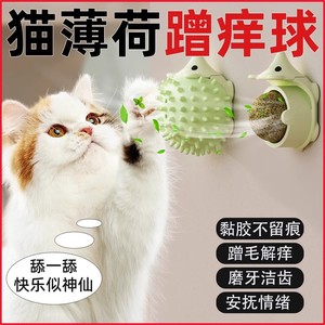 ของเล่นแมวรูปเม่นการ์ตูน พลาสติกปลอดภัยสำหรับแมว ใช้ได้ทุกฤดู - Product Image 2