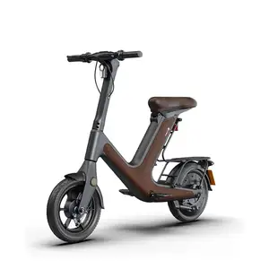 새로운 디자인 전기 자전거 숨겨진 배터리 14 인치 전기 자전거 충분한 전력 전자 자전거 판매