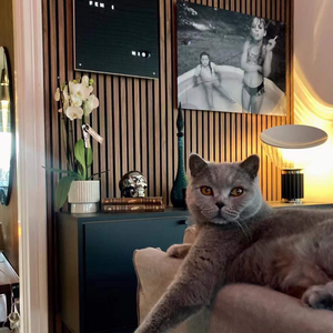 Panneaux acoustiques en bois MDF DIY <span class=keywords><strong>anti</strong></span>-bruit, diffuseurs, pour murs et plafonds, avec placage bois, prix entrepôt - Product Image 6