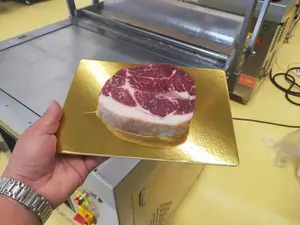 Film kemasan kulit PE plastik transparan performa tinggi lapisan kulit atas kemasan vakum makanan matang untuk paket daging sapi