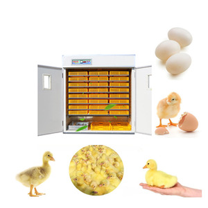 Professional Commercial Best Incubator for Chicken <b>Eggs</b> Chicken Incubator for Sale Made in China - Product Image 2