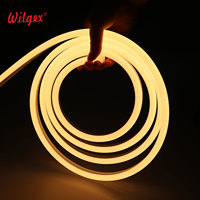 像素RGB 24V LED霓虹灯柔性硅胶灯管IP65防水816mm户外灯管最大高度4m宽度9m应用场合