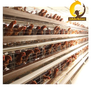 Jinmuren tự động gà lồng hệ thống trang trại Gà Gia cầm thiết bị - Product Image 4