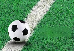 Césped Artificial Ecológico y Duradero de 25 mm, PP+PE, Realista, Ignífugo, para Decoración de Interiores y Exteriores, Jardín y Hogar - Product Image 2