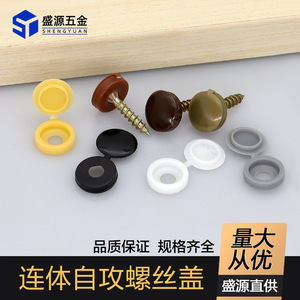 Shengyuan Plastic Screw Cap <b>Button</b> Small Dustproof Furniture Cover Closure - Product Image 4