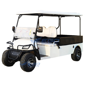 Voiturette de golf électrique tout-terrain homologuée pour la route, nouveau design, 4 places, pour la vente - Product Image 6