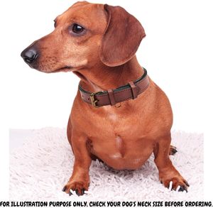 Collier pour chien en cuir réglable avec logo personnalisé en gros - Product Image 6