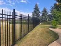 Clôture de jardin de haute qualité, thermolaquée, 8'x6', design européen avec modélisation 3D, imperméable et anti-rongeurs