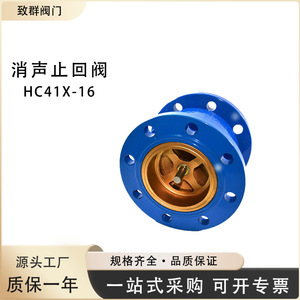 Válvula de Retención HC41X con Brida, Sellado de Bronce, para Agua a Temperatura Normal, Operación Manual, Uso General - Product Image 5