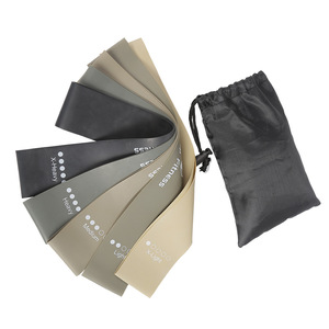 Bandas de Resistencia para Ejercicios Simplify Fit de 10 Pulgadas (500 mm) con Logotipo Personalizado, Guía de Instrucciones y Bolsa de Transporte, Juego de 5 - Product Image 4