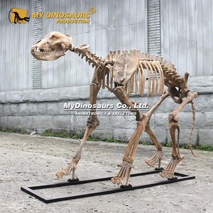 Bảo tàng khủng long của tôi kích thước đầy đủ bộ xương động vật thời tiền sử sư tử hang động để bán - Product Image 3