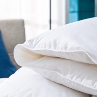 Couette en plumes de canard/reine des oies Couverture de lit d'hôtel Hilton pour couette d'été pour climatiseur Couettes Couettes Vente en gros