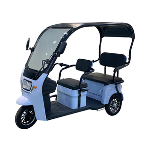 Triciclo Eléctrico Motorizado para Pasajeros y Carga, con 3 Ruedas Tipo Pancake, para Uso Exterior, Simple, para Mujer, con Soporte para Bicicleta, Precio de Motocicleta/Auto - Product Image 4