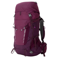 Sac à dos de randonnée en nylon pour la montagne, le trekking et le camping, imperméable, 50L, avec housse de pluie, fourni par l'usine