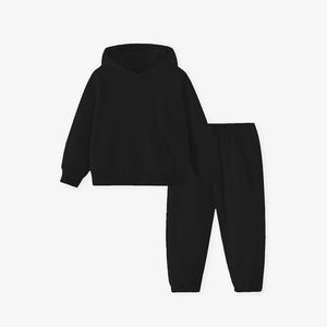 Ensembles de vêtements pour garçons 2025 Automne Hiver Ensemble de <span class=keywords><strong>sweat</strong></span>-shirt à capuche pour enfants Couleur unie Style basique Ensemble deux pièces Ensemble de tenue pour garçons - Product Image 4