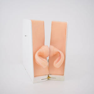 Modelo De Ensino Médico Modelo De Anatomia Reprodutiva Feminina Para Treinamento De Obstetrícia E Ginecologia - Product Image 5