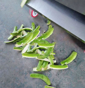 Máquina Peladora de Plátanos Verdes Profesional Nueva de Bajo Costo, Fabricantes - Product Image 5