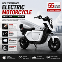 Vélo tout-terrain électrique sans balais 1200W 60V, 14 pouces, longue portée, étanche, avec moteur moyeu, charge utile 200kg, directement de l'usine