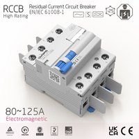 Disjoncteur différentiel industriel 4P à courant résiduel élevé 80-125A, type électromagnétique en cuivre, 30mA 100mA 300mA 500mA, conforme IEC EN61008