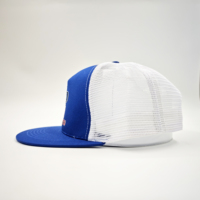 Gorra de ciclismo OEM ODM personalizada con diseño de hoja tropical, ajustable, estructurada, de malla, forro polar, para exteriores, con visera plana y bordado en lona.