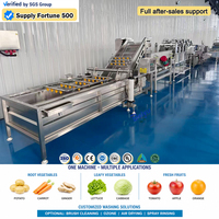 Laveuse Commerciale Automatique Baiyu pour Fruits et Légumes avec Stérilisation à l'Ozone, en Acier Inoxydable de Qualité Alimentaire pour Maïs et Soja