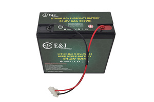 Pack de batteries LiFePO4 48V 6Ah |   Batterie au lithium compacte avec prise à 2 broches - Product Image 1