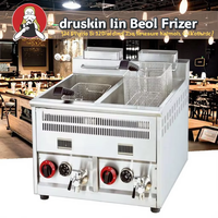 Ventes chaudes en gros, friteuse à gaz à 2 cuves, machine à frites françaises, friteuse commerciale de comptoir à gaz pour les magasins d'alimentation