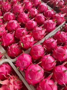 Fruits de dragon frais et sains au meilleur <span class=keywords><strong>prix</strong></span>, fruits de <span class=keywords><strong>pitaya</strong></span> frais en provenance de Chine - Product Image 4