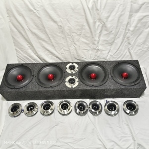 Double haut-parleur actionné portatif professionnel de voiture de 8 pouces pour l'équipement son commercial d'événements d'intérieur extérieurs - Product Image 4