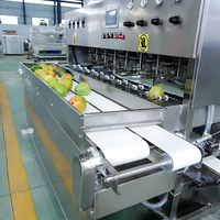 Automatische 8-kops mango schilmachine, sinaasappel- en aardappelschiller, industriële fruit- en groenteschilmachine