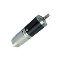 Motor de Engranajes Planetarios de Precisión de 28 mm, 12 V, 24 V, 30 W, 2 Nm, Alto Torque, Reemplazo para Motor Sin Núcleo Maxon para Dispositivos de Belleza