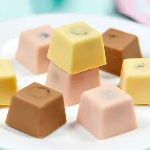 bulk fruit filling block shaped chocolate desserts chocolates and candies sweets and chocolates candy