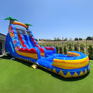 Castillo Inflable con Tobogán y Alberca, Resbaladilla Inflable <span class=keywords><strong>de</strong></span> PVC <span class=keywords><strong>de</strong></span> 0.55mm con Piscina <span class=keywords><strong>de</strong></span> Chapoteo para Eventos y Fiestas - Product Image 1