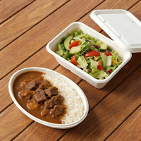 Boîte à lunch jetable biodégradable carrée de 750 ml en pulpe de bagasse, vaisselle pour les fêtes D888