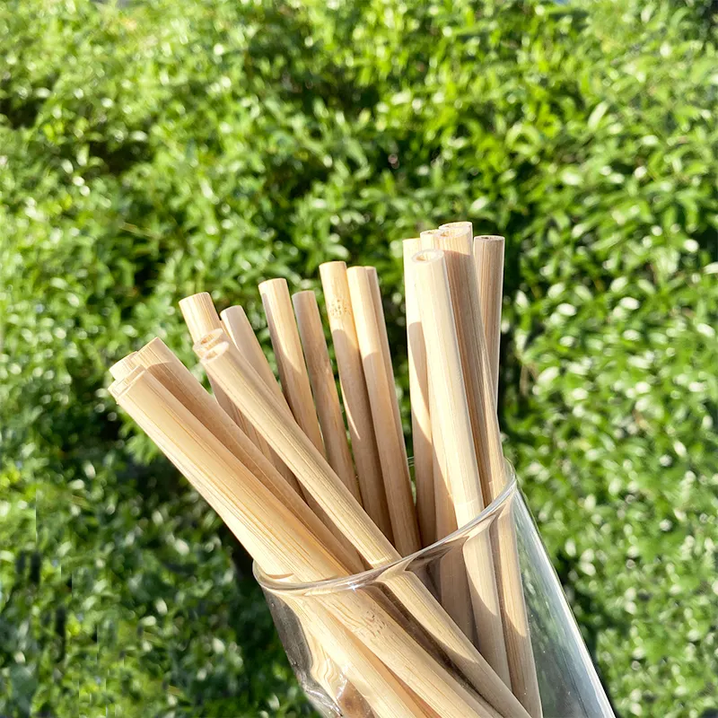 Gravé compostable Dropshipping écologique en vrac conception personnalisable boîte de rangement biodégradable écologique paille de bambou