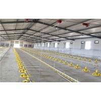 Galpones para pollos prefabricados estructura de acero gallinero Gallinero