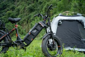 Eahora Romeo Juliet 3 vélo électrique à double moteur de 20 ", vélo de ville électrique à gros pneus, vélo électrique à longue portée, STOCK UE - Product Image 2