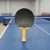Offres Spéciales professionnel raquette de tennis de table ensemble pagaie économique pour les joueurs