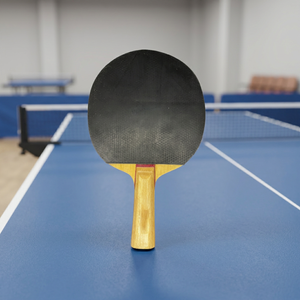 Gran oferta, juego de raqueta de tenis de mesa profesional, paleta económica para jugadores - Product Image 3