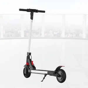 Fabricant chinois de Scooter électrique, moteur de 250W, charge maximale jusqu'à 100kg, Scooter électrique adulte urbain pour 100 $