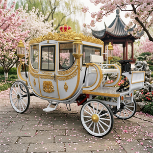 Nouvelle Carrosse Électrique et Sans Chevaux de Luxe Style Royal Victorien pour Parcs Équestres et Attractions Touristiques – Édition 2026 – Vente Flash - Product Image 1