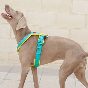 Tali kekang anjing taktis mewah kustom dengan lapisan Neoprene dan perlengkapan hewan peliharaan gesper logam berat grosir - Product Image 3