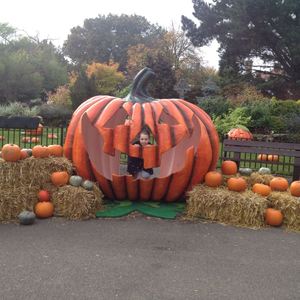 รูปปั้นไฟเบอร์กลาสฮาโลวีน งานประติมากรรมเรซิ่น ของตกแต่งรูปโครงกระดูกยักษ์ รถเข็นฟักทอง ของเล่นประกอบฉาก ของตกแต่งฮาโลวีนกลางแจ้ง - Product Image 3