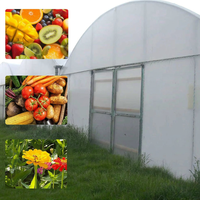 Serre pour pommes de terre, tunnel pour fraises, serre pour tomates, structure en acier avec couverture en film, origine Chine, marque Zhuotai