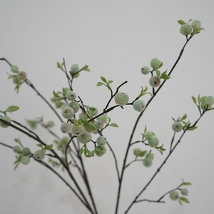 <span class=keywords><strong>Pequeña</strong></span> Manzana Americana, Decoración de Frutas Pastorales, Flor Artificial, Modelo 11, Significado Pacífico, Bayas, Decoración del Hogar, Fotografía - Product Image 2