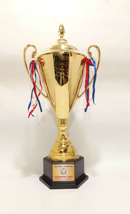 Coupe universelle <span class=keywords><strong>de</strong></span> base <span class=keywords><strong>de</strong></span> trophée en bois noir pour la compétition sportive majeure pour le jeu <span class=keywords><strong>de</strong></span> football <span class=keywords><strong>de</strong></span> football Récompenses Stock Trophées Médailles Plaques - Product Image 4